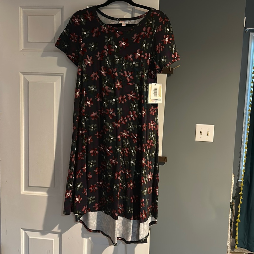 LuLaRoe Carly